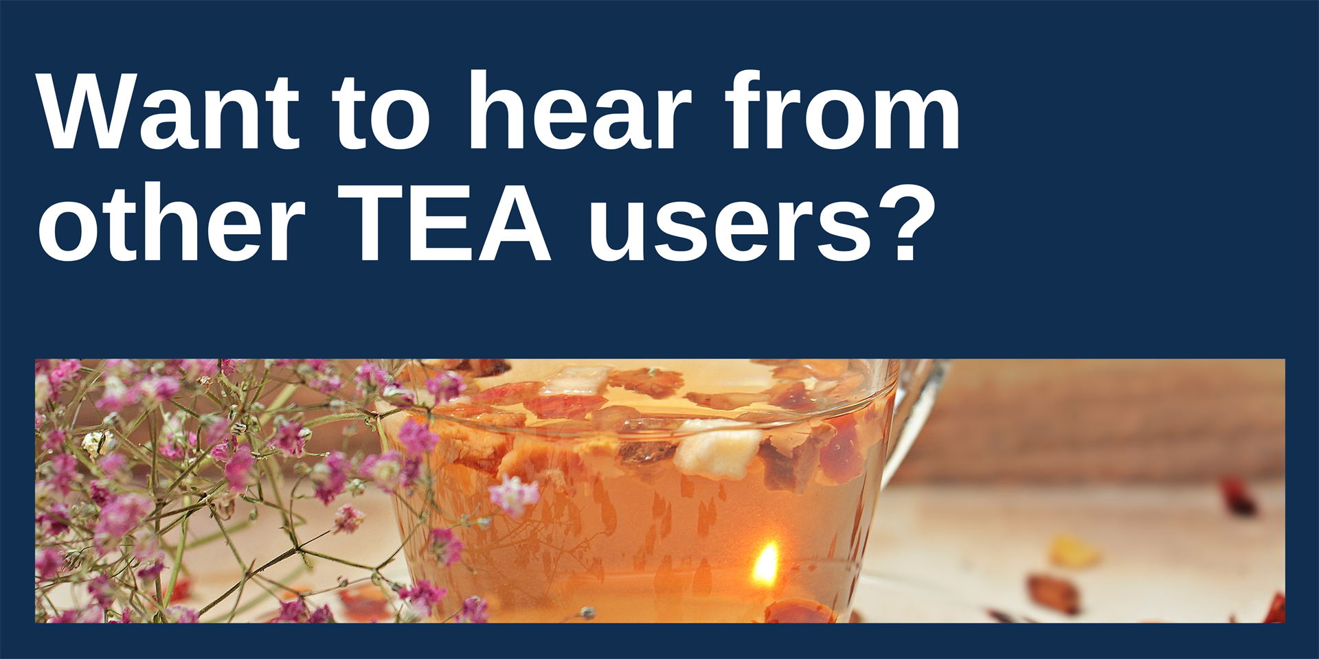 What to hear from other TEA users?
